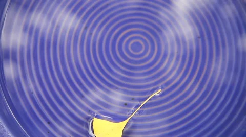 Floating ginkgo leaves in ceramic dish Stock Footage 61497761