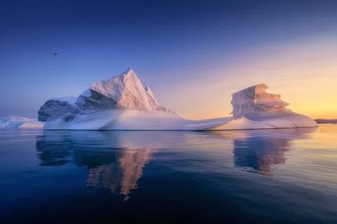 Floating glaciers in the rays of the setting sun at polar night with birds Stock Photos
