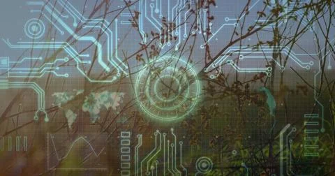 Floating glowing circular interface over grass in meadow with circuit traces, Stock Photos