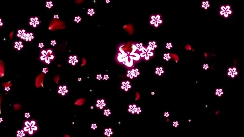 Floating glowing pink flowers and red petals falling against dark background Stock Footage 345499837