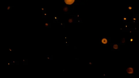 Floating Gold Leaf Celebration Sparkle Overlay Video Effect 4k Black Screen Stock Footage 289912143