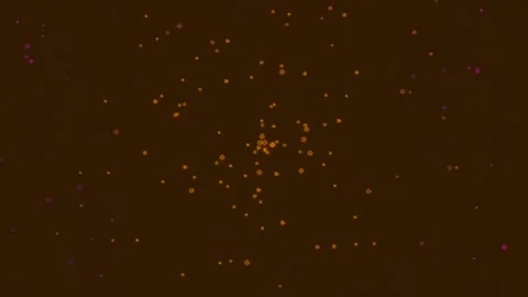 Floating golden bokeh particles animation on dark brown background Stock Footage 342114916