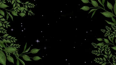 Floating green foliage branches against dark night sky with sparkling twinkling Stock Footage 345335296