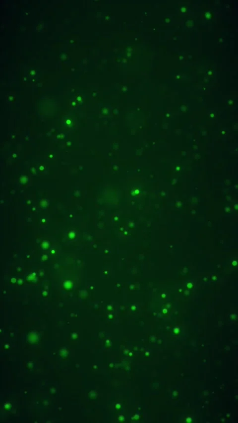 Floating Green Particles Rise Stock Footage 312568613