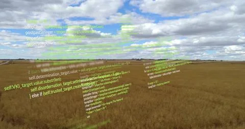 Floating holographic green code strands hovering above golden wheat field at 스톡 사진