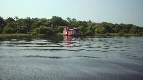 Floating house at amazon river with flying birds Vídeo Stock 164045140