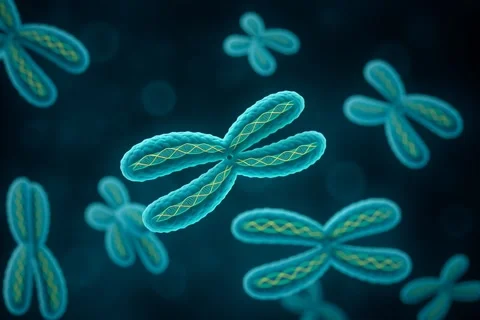 Floating Human Chromosomes with Visible DNA — Seamless Loop Animation Video stock 312709692