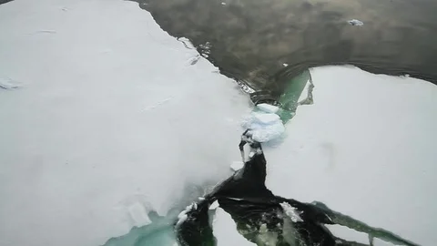 Floating ice in Antarctica 1 Stock Footage 87699232