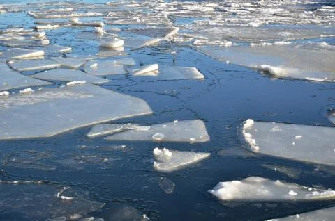 Floating ice blocks Stock Photos