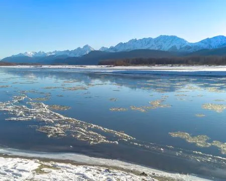 Floating ice in the Chilkat River Stock Photos