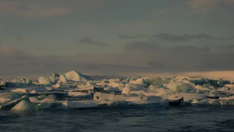 Floating ice chunks on an icy ocean under soft golden light in Iceland Stock Footage 303038130