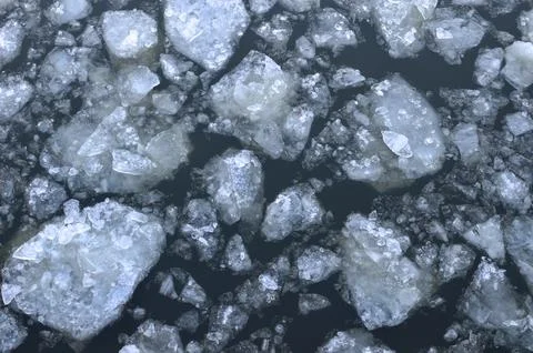 Floating Ice Chunks on Water Surface Fotos de archivo