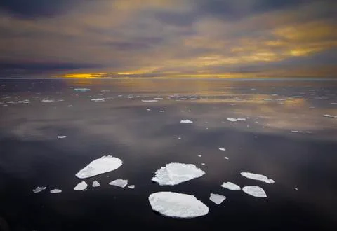 Floating Ice during sunset Stock Photos