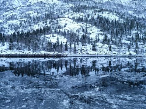 Floating ice flakes on water with mountain reflection on surface Foto stock