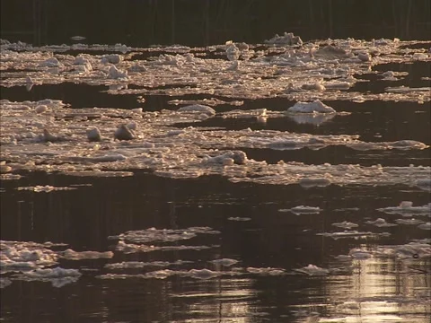 Floating ice  Stock Footage 2582746