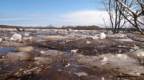 Floating of ice Vídeo Stock 22774843