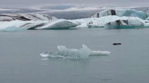 Floating Ice Stock Footage 295237082