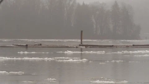 Floating ice on river. Logs.  Winter 2021(Variant2). Vidéo 148513849