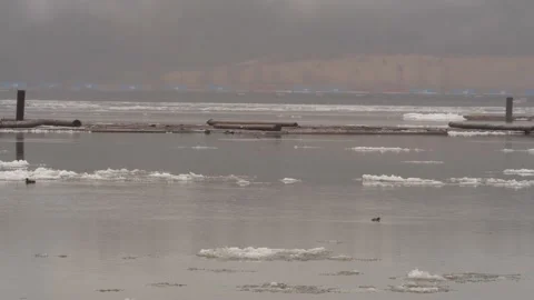 Floating ice on river. Winter 2021(Variant). 스톡 동영상 148513884
