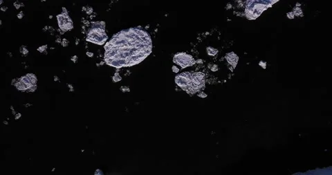 Floating ice on water from above Video stock 151862596