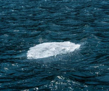 Floating Iceberg in Alaska 写真素材