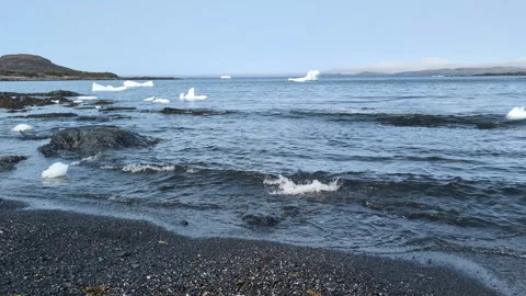 Floating iceberg in the Hay Cove Video stock 320787486
