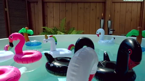 Floating inflatable drink holder swans, unicorns, palm trees and flamingos Stock Footage 201614082
