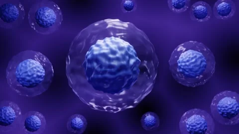 Floating ips stem cells Stock Footage 150683279
