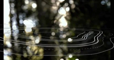 Floating irregular white contour lines layering woodland scene, digital data  Foto stock
