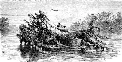 Floating islands, vintage engraving. Stockillustratie