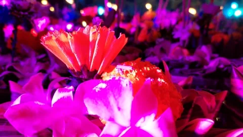 Floating Krathong Stock Footage 293490183