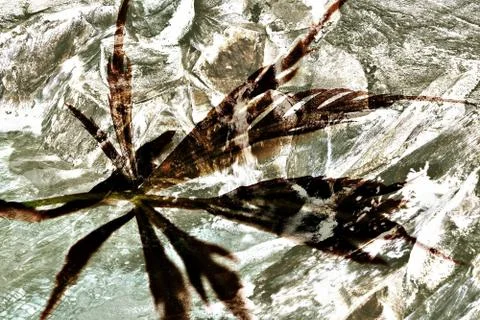 Floating leaf Stock Photos