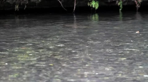 Floating leaf.mp4 스톡 동영상 8850000