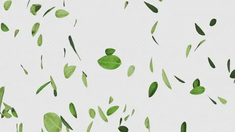 Floating Leaves Element 스톡 동영상 276753353