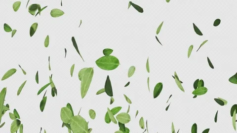Floating Leaves Element Video stock 276756386