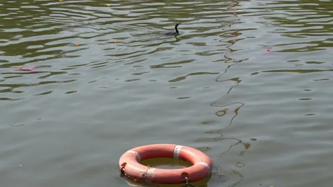 Floating Lifebuoy Ring in Calm River Water Safety Concept Stock Footage 333069907