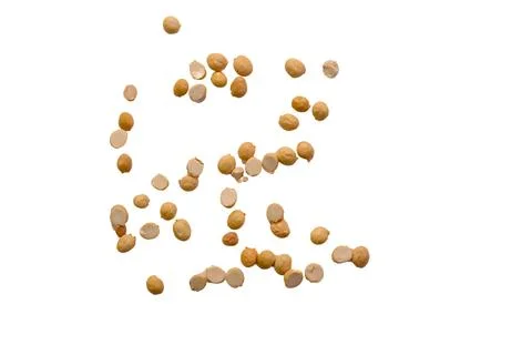 Floating light colored seeds scattered on white background Stock Photos