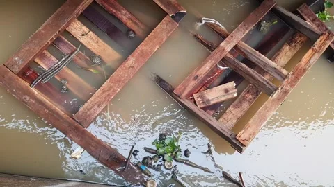 Floating Log Driftwood on Flowing Kapuas River West Kalimantan 库存影片 347325855