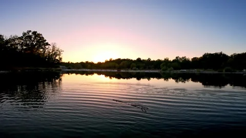 Floating log on the river at sunset Stock Footage 318175003