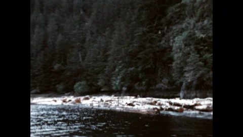 Floating Logs Downstream 1974 Stock Footage 266445940