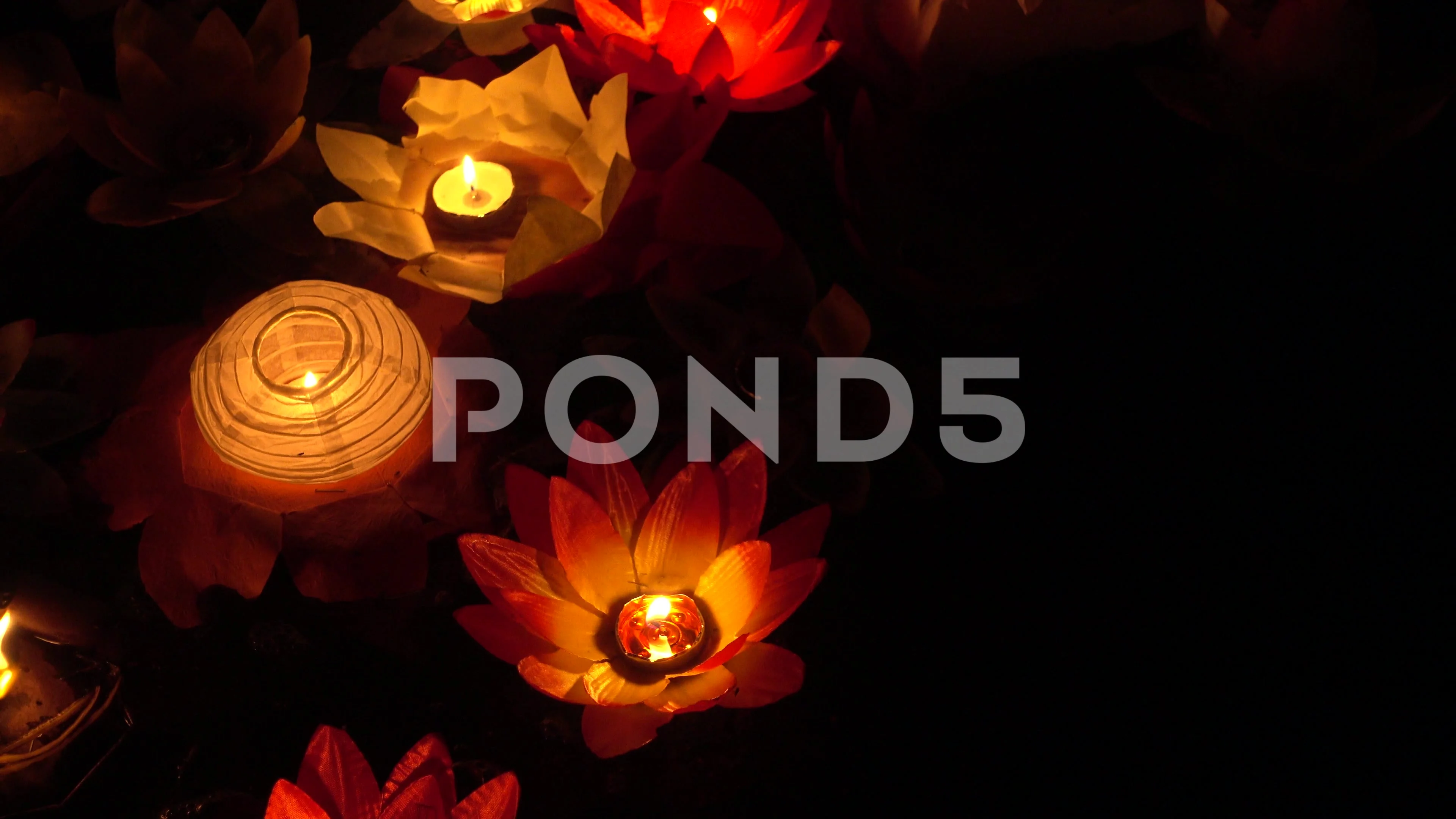 Floating 2024 lotus lanterns