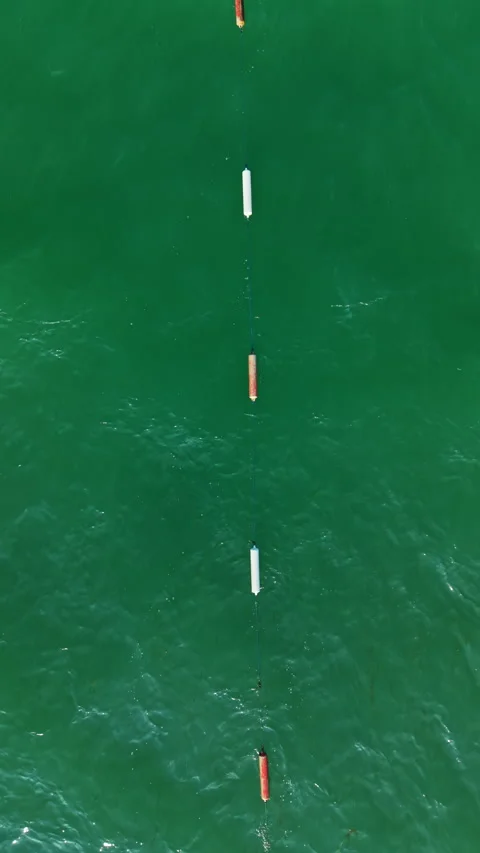 Floating markers on the surface of blue water indicating a designated area for Stock Footage 337895300