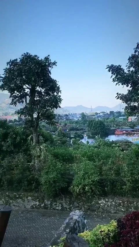 Floating Market Stock Footage 225896498