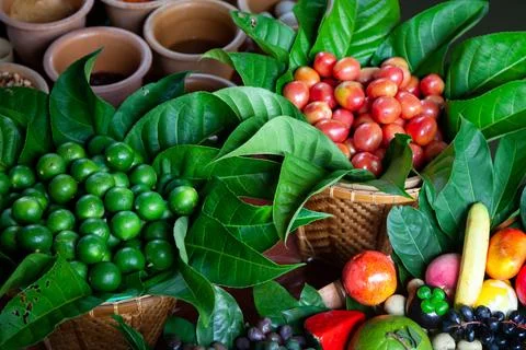 Floating market Stock Photos