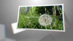 Floating Media Stock After Effects