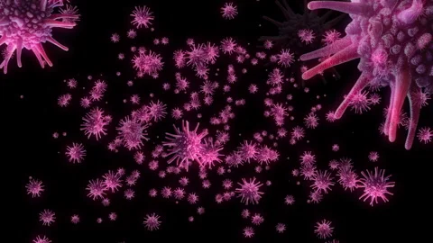  Floating Microbes and Bacteria Isolated on black Video stock 263978472