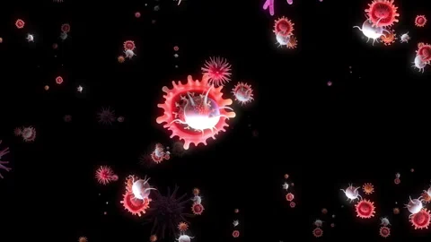 Floating Microorganisms and Bacteria Paint the Black Canvas 스톡 동영상 263978430