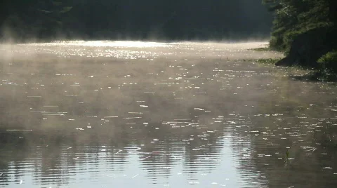 Floating Mist Video stock 770243