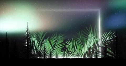 Floating neon rectangular frame hovering above palm fronds in forest at night, Stock Photos