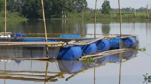Floating net cages on Lake. This cage is used for fish farming. Stock Footage 268697656